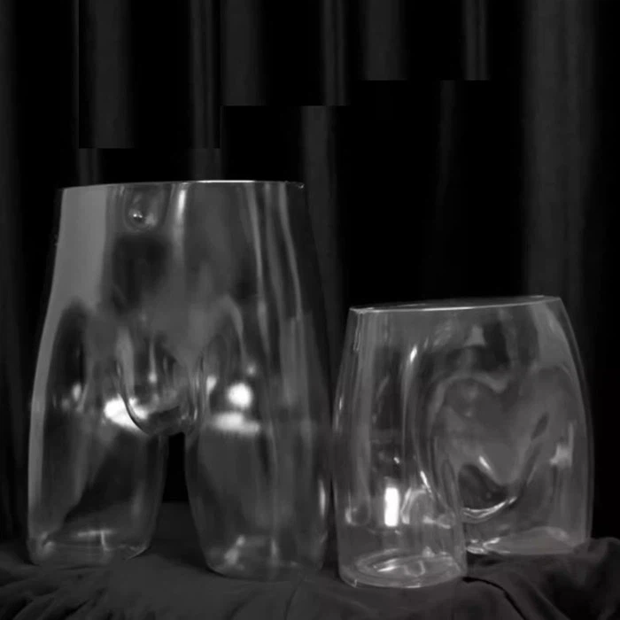 clear mannequin hip form (1)